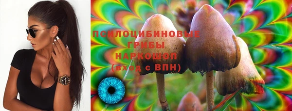 твердый Аркадак