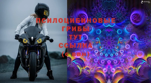 дживик Арсеньев