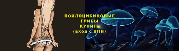 дживик Арсеньев