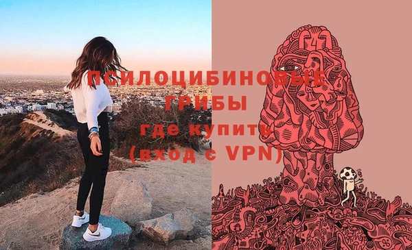 твердый Аркадак