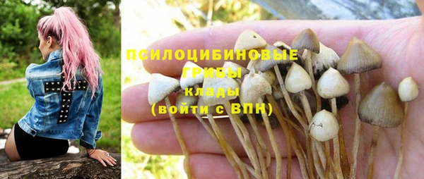 дживик Арсеньев