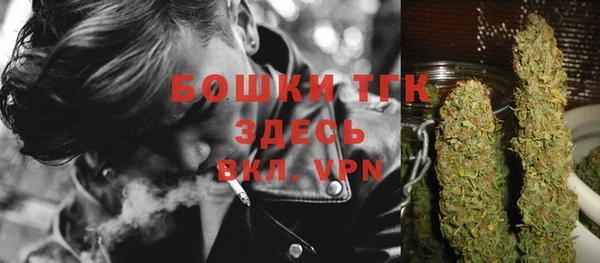 твердый Аркадак