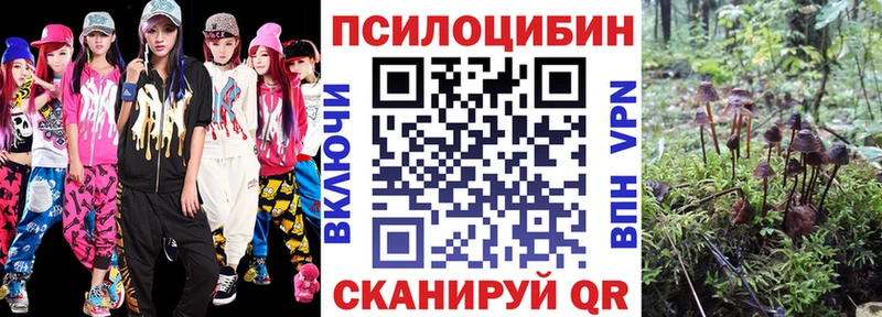 Псилоцибиновые грибы Psilocybine cubensis  Ленинск 